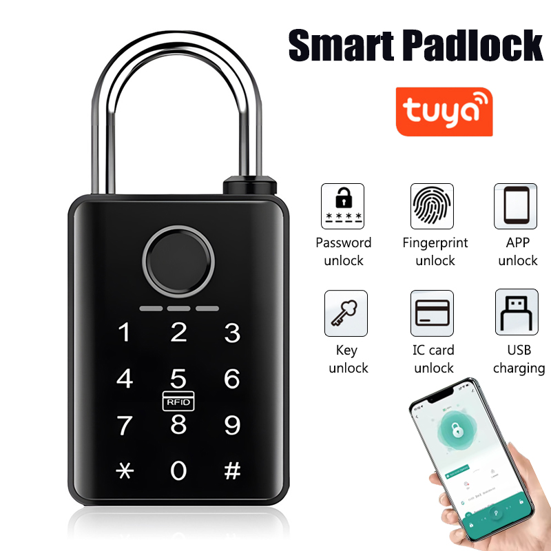 Tuya Smart Door Lock Lucchetto - Smart Home Door Lock recensione e prezzo