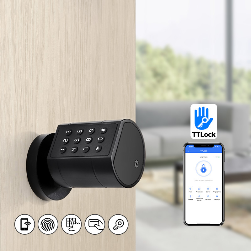 Smart Euro Serratura cilindric - Smart Home Door Lock recensione e prezzo